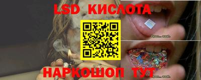 шишки Славянск-на-Кубани