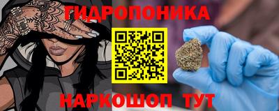 шишки Славянск-на-Кубани