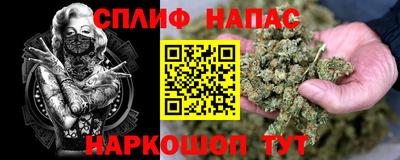 шишки Славянск-на-Кубани