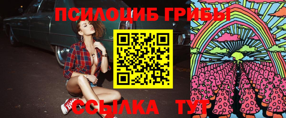 Псилоцибиновые грибы Psilocybine cubensis Псков